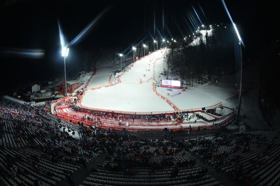2014 Winter Olympics. Alpine skiing. Women. Slalom