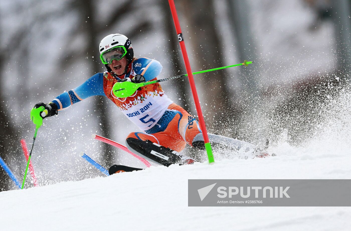 2014 Winter Olympics. Alpine skiing. Men. Slalom