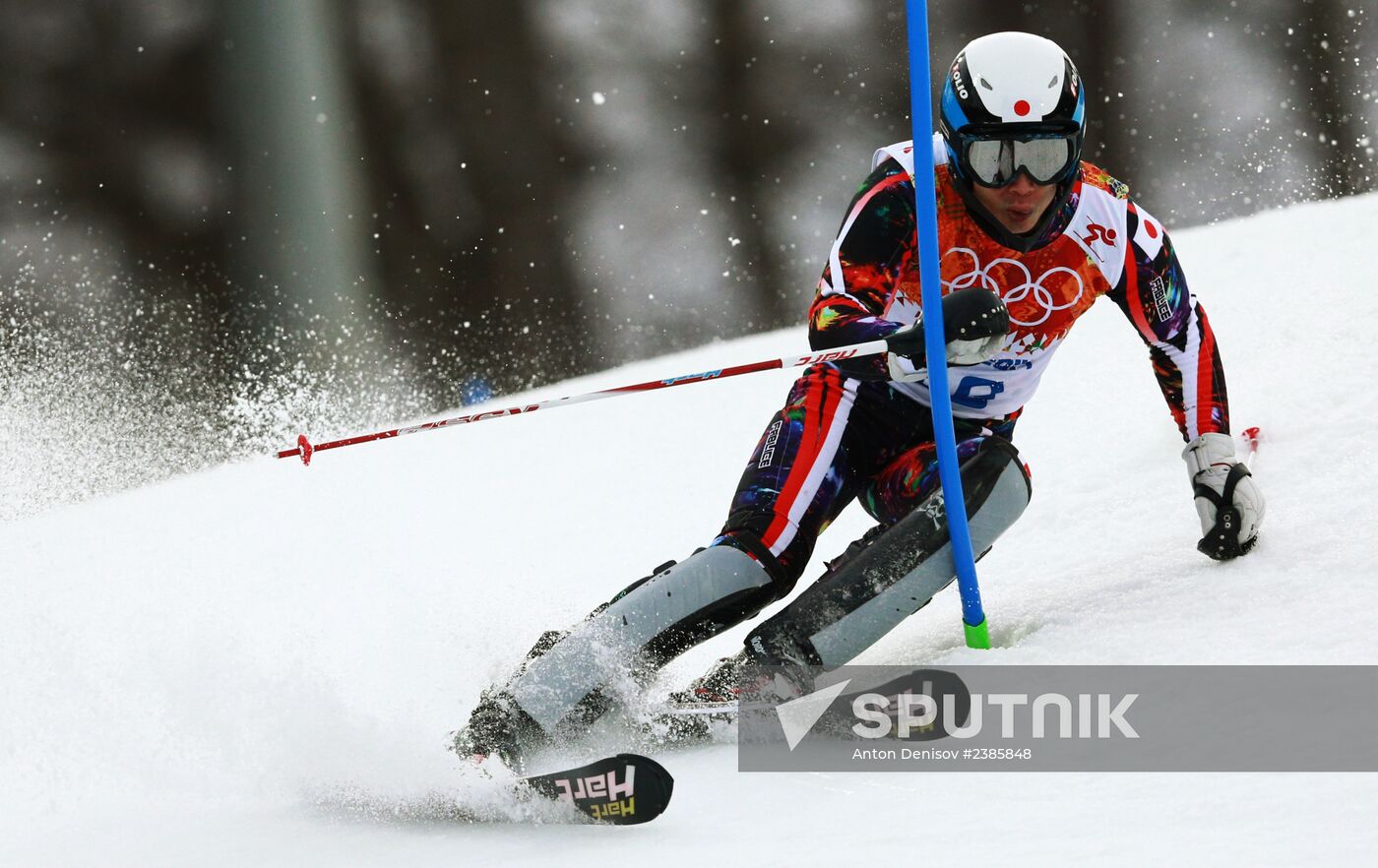 2014 Winter Olympics. Alpine skiing. Men. Slalom