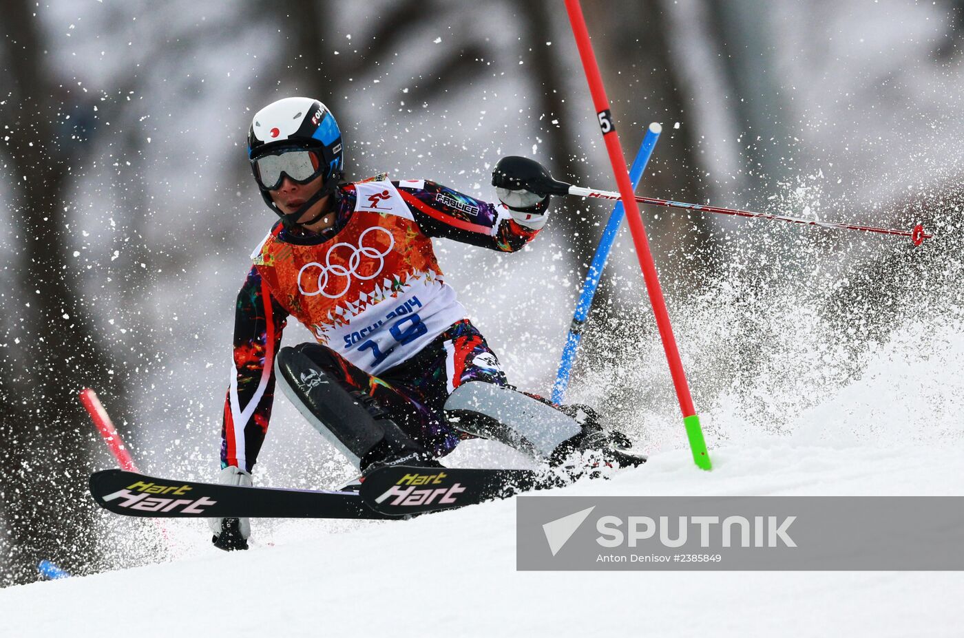 2014 Winter Olympics. Alpine skiing. Men. Slalom
