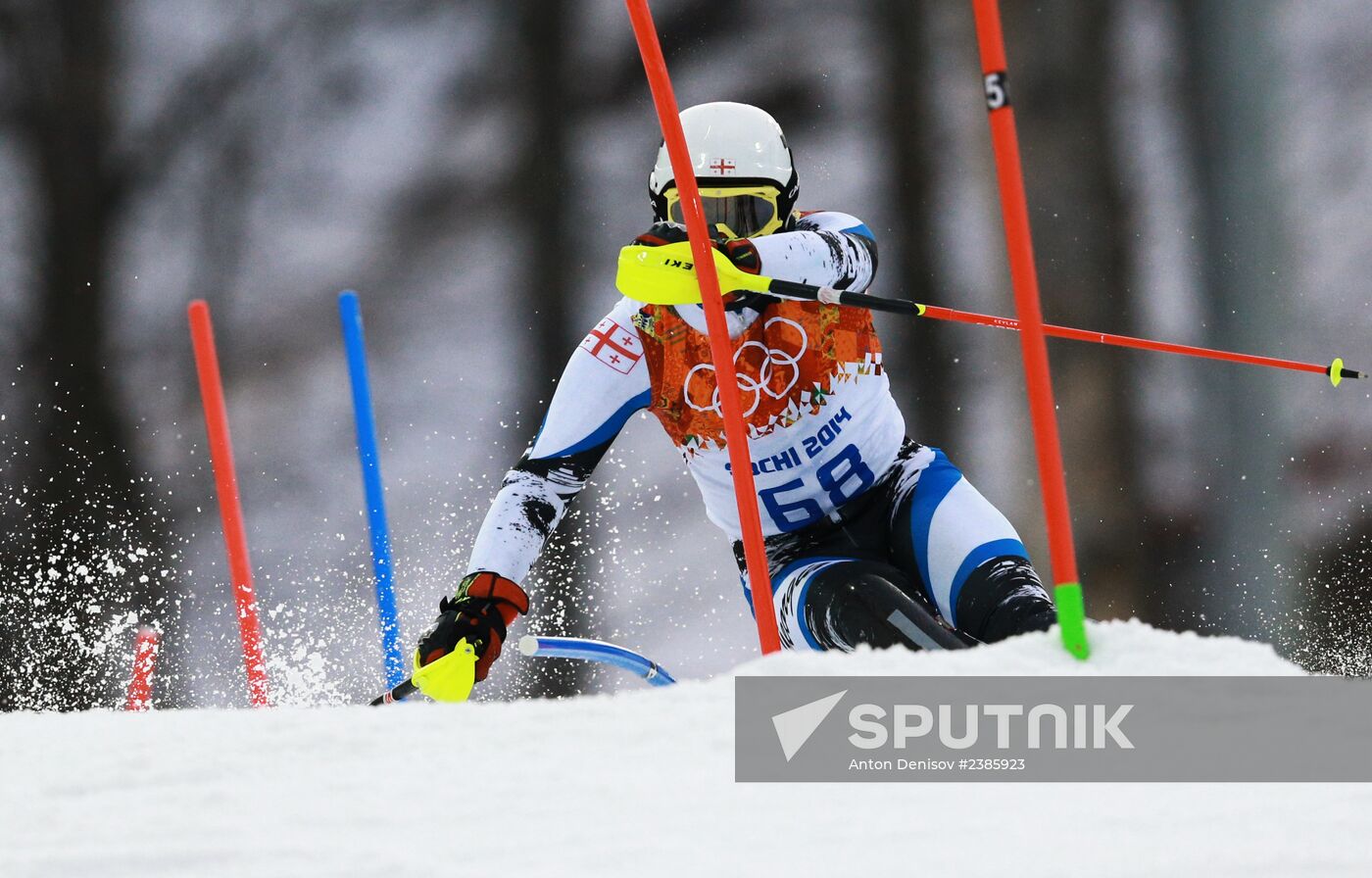 2014 Winter Olympics. Alpine skiing. Men. Slalom