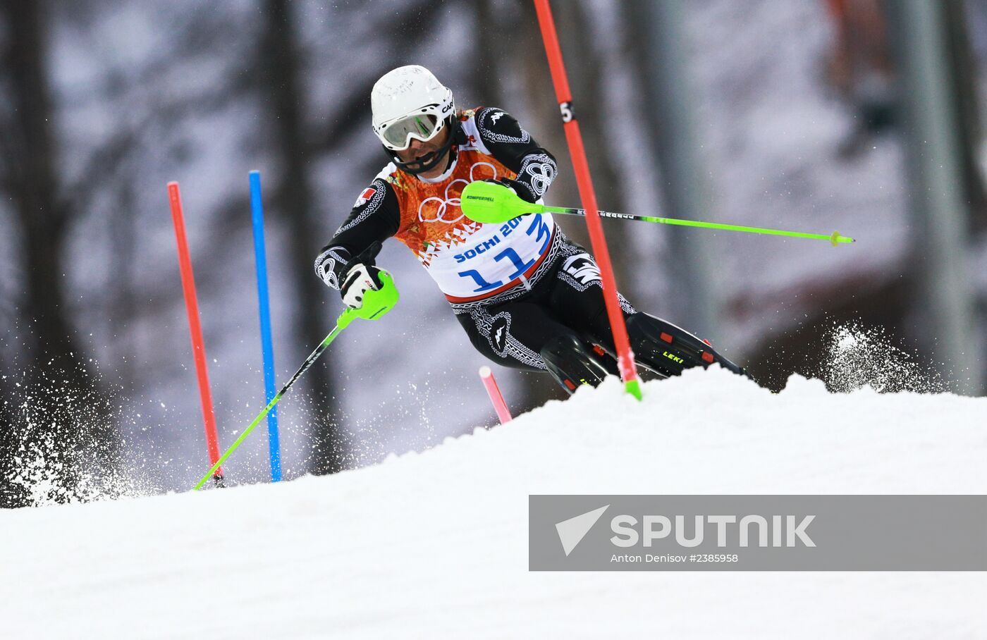 2014 Winter Olympics. Alpine skiing. Men. Slalom