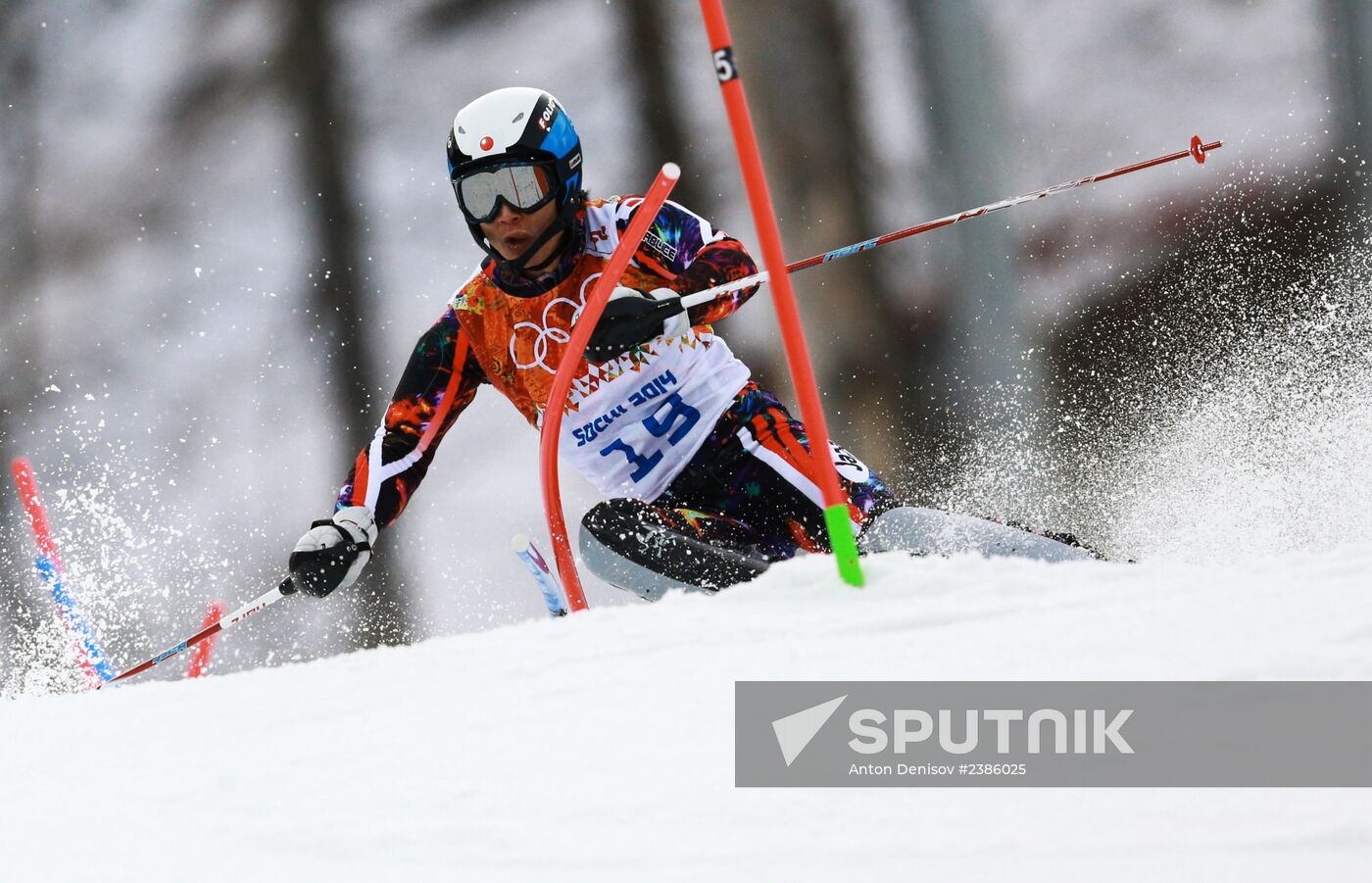 2014 Winter Olympics. Alpine skiing. Men. Slalom