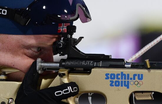 2014 Winter Olympics. Biathlon. Men. Relay
