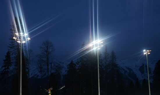 2014 Winter Olympics. Biathlon. Men. Relay