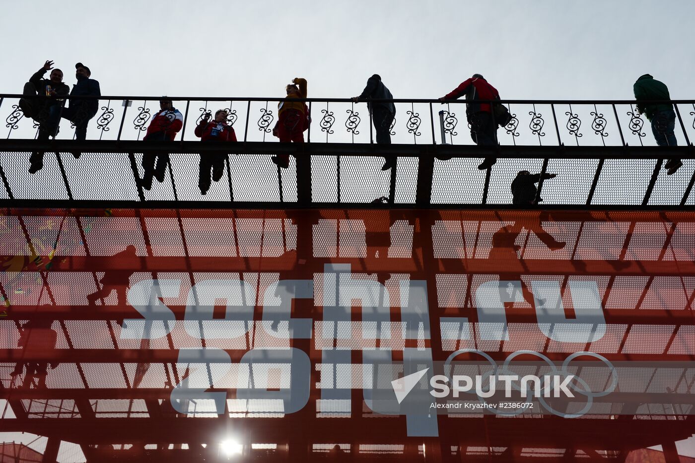 2014 Winter Olympics. Alpine skiing. Men. Slalom