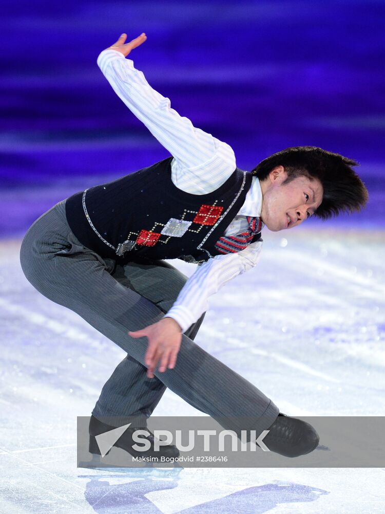 2014 Winter Olympics. Figure skating. Gala exhibition