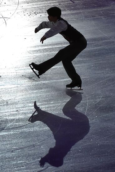 2014 Winter Olympics. Figure skating. Gala exhibition