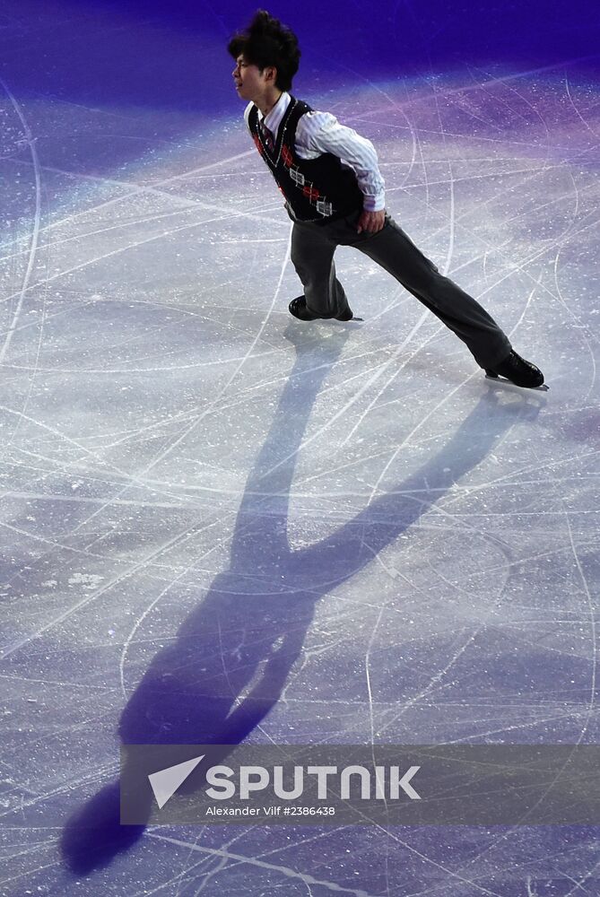 2014 Winter Olympics. Figure skating. Gala exhibition