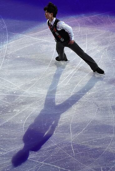 2014 Winter Olympics. Figure skating. Gala exhibition