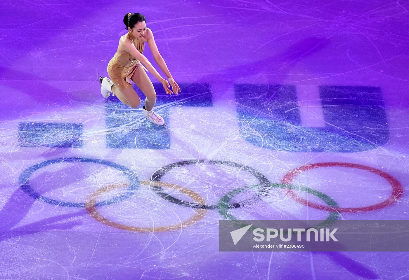 2014 Winter Olympics. Figure skating. Gala exhibition