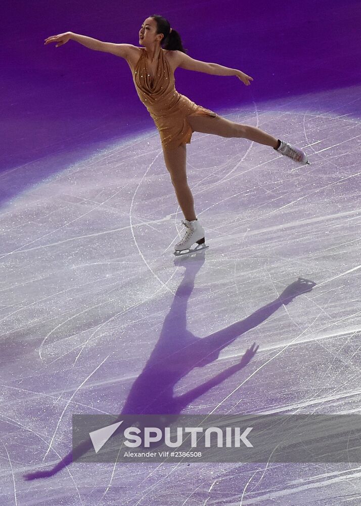 2014 Winter Olympics. Figure skating. Gala exhibition