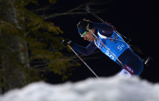 2014 Winter Olympics. Biathlon. Men. Relay