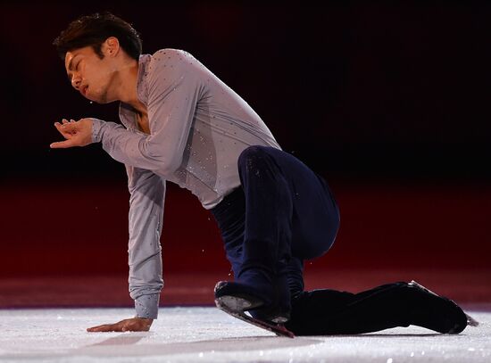 2014 Winter Olympics. Figure skating. Gala exhibition