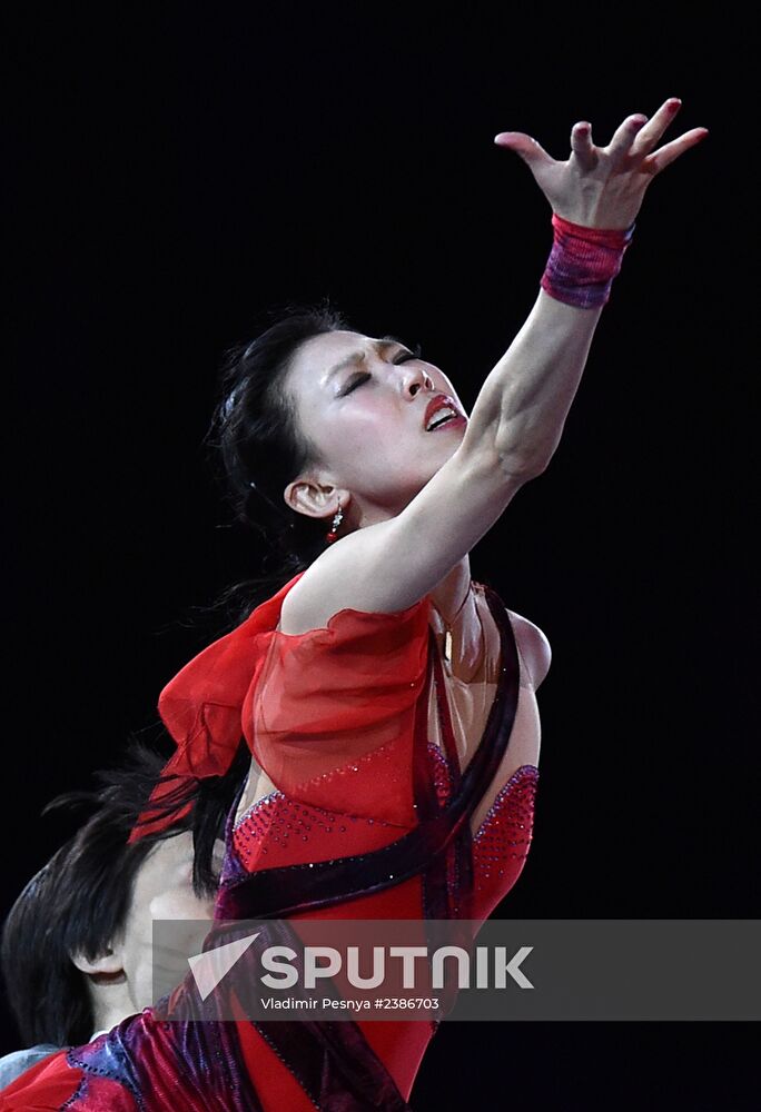 2014 Winter Olympics. Figure skating. Exhibition gala