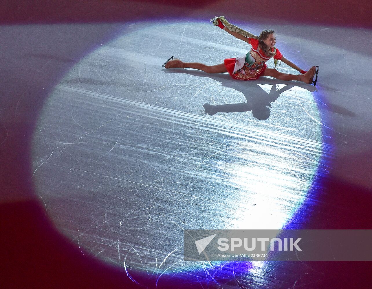 2014 Winter Olympics. Figure skating. Gala exhibition