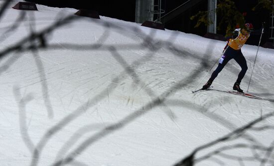 2014 Winter Olympics. Biathlon. Men. Relay