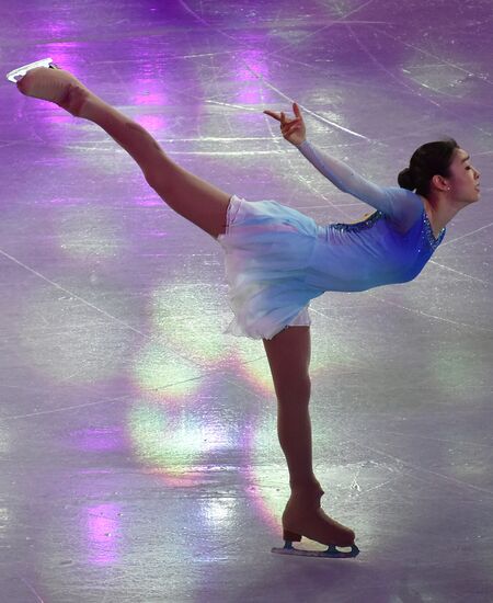 2014 Winter Olympics. Figure skating. Gala exhibition