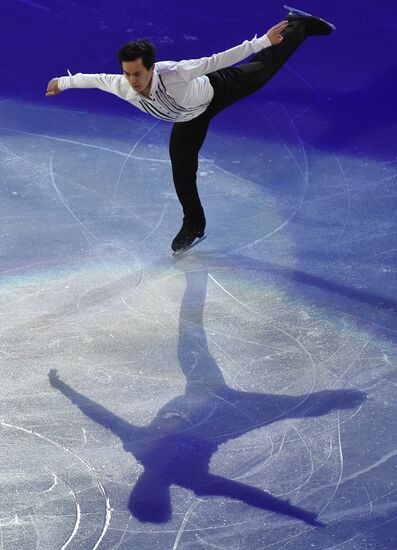 2014 Winter Olympics. Figure skating. Gala exhibition