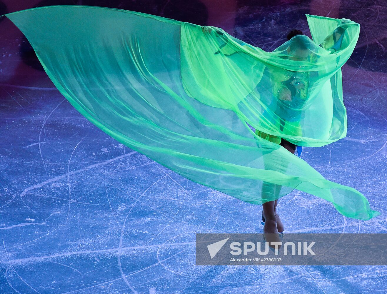 2014 Winter Olympics. Figure skating. Gala exhibition