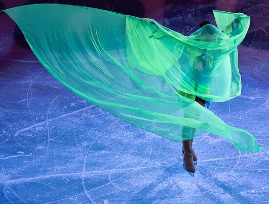 2014 Winter Olympics. Figure skating. Gala exhibition