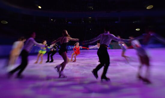 2014 Winter Olympics. Figure skating. Exhibition gala