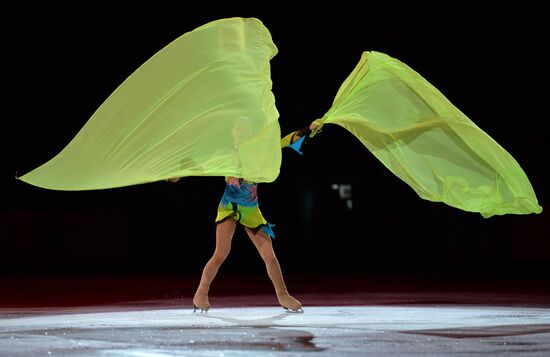 2014 Winter Olympics. Figure skating. Exhibition gala