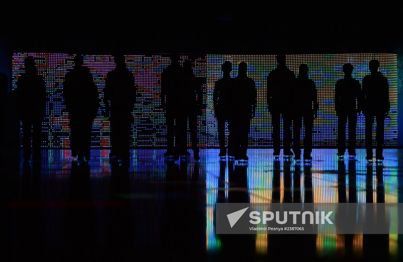 2014 Winter Olympics. Figure skating. Exhibition gala