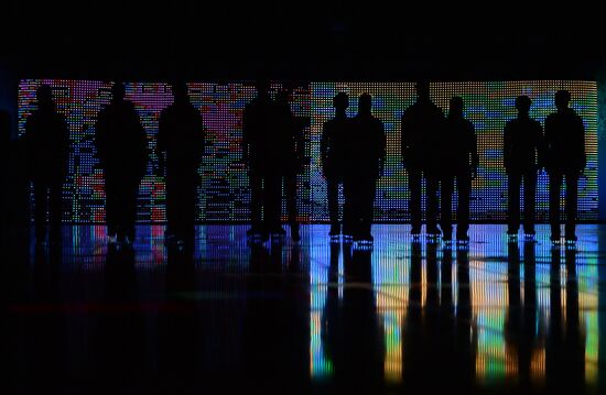 2014 Winter Olympics. Figure skating. Exhibition gala