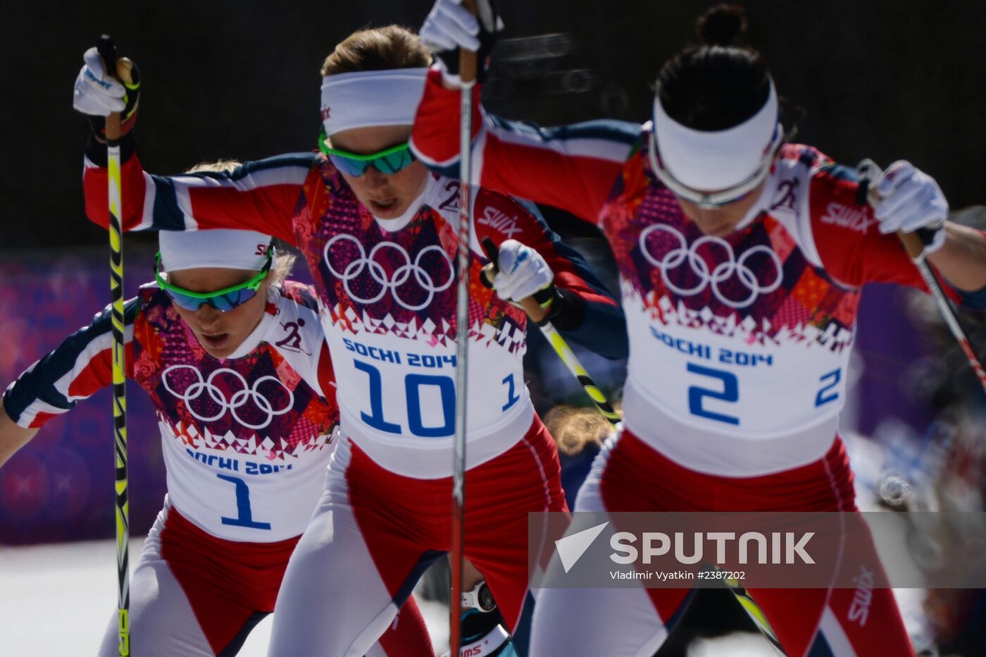 2014 Winter Olympics. Cross-country skiing. Women. Mass start race