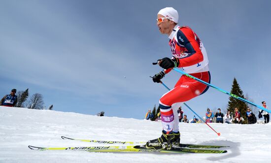 2014 Winter Olympics. Cross-country skiing. Men. Mass start race