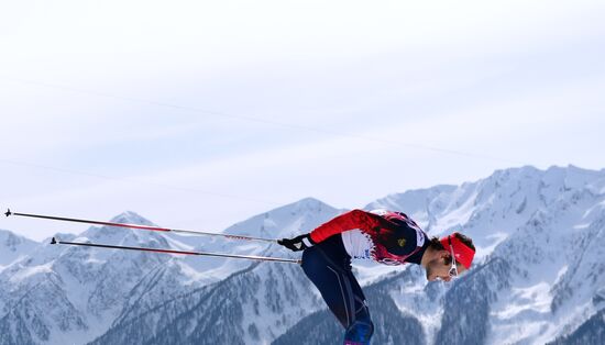 2014 Winter Olympics. Cross-country skiing. Men. Mass start race