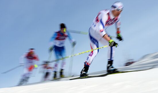 2014 Winter Olympics. Cross-country skiing. Men. Mass start race