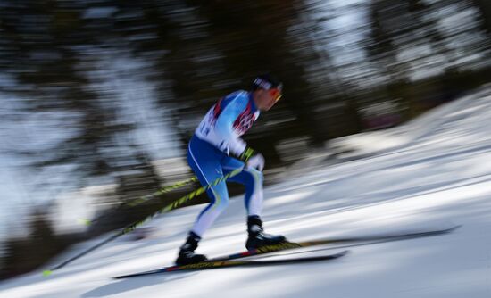 2014 Winter Olympics. Cross-country skiing. Men. Mass start race