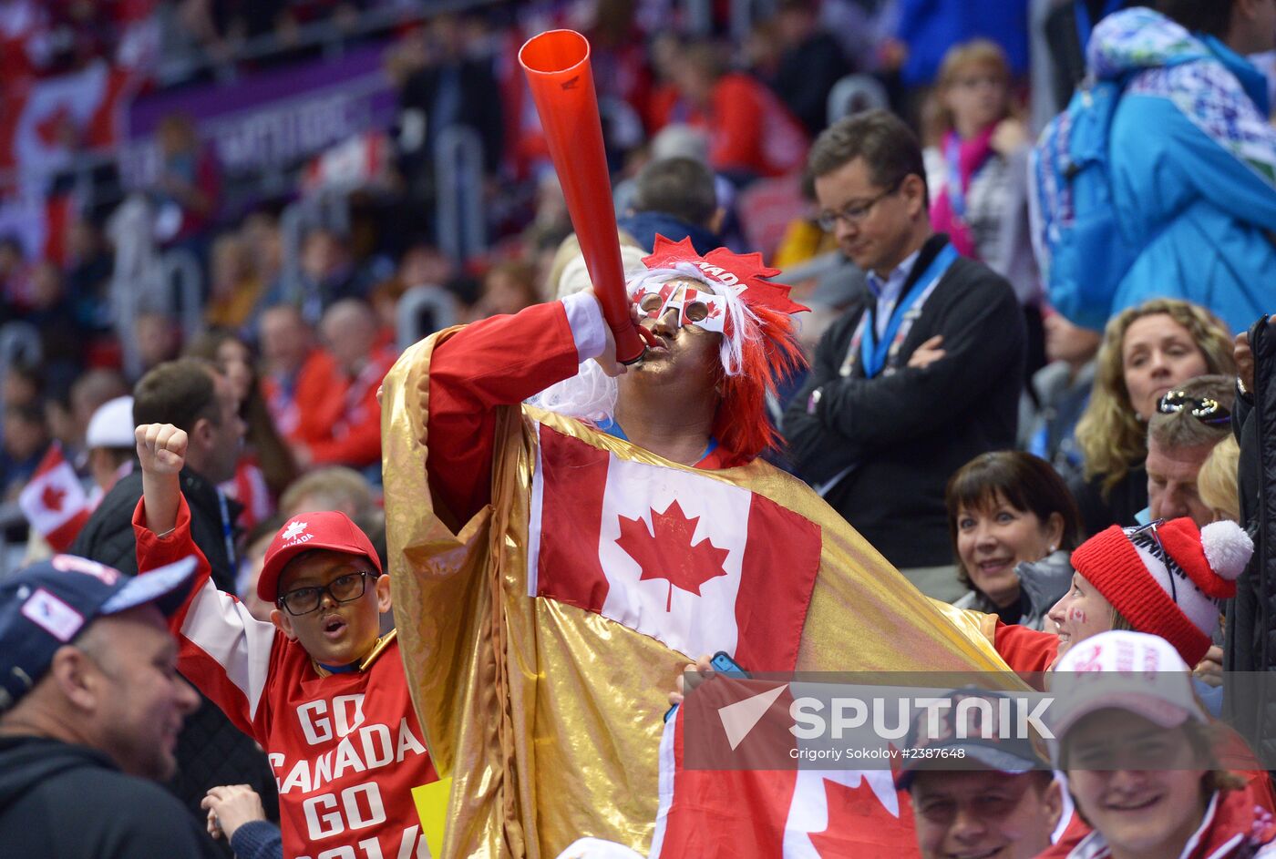 2014 Winter Olympics. Ice hockey. Men. Finals