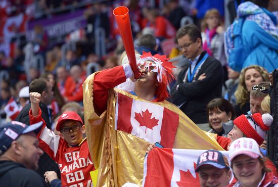 2014 Winter Olympics. Ice hockey. Men. Finals