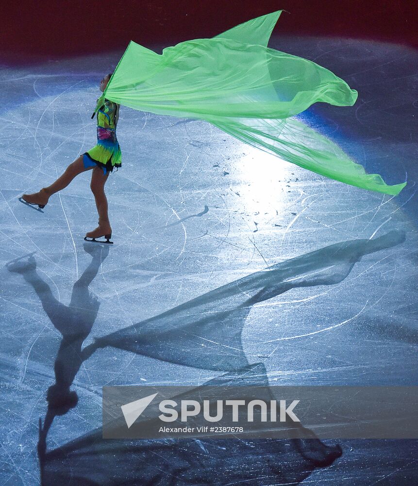 2014 Winter Olympics. Figure skating. Gala exhibition