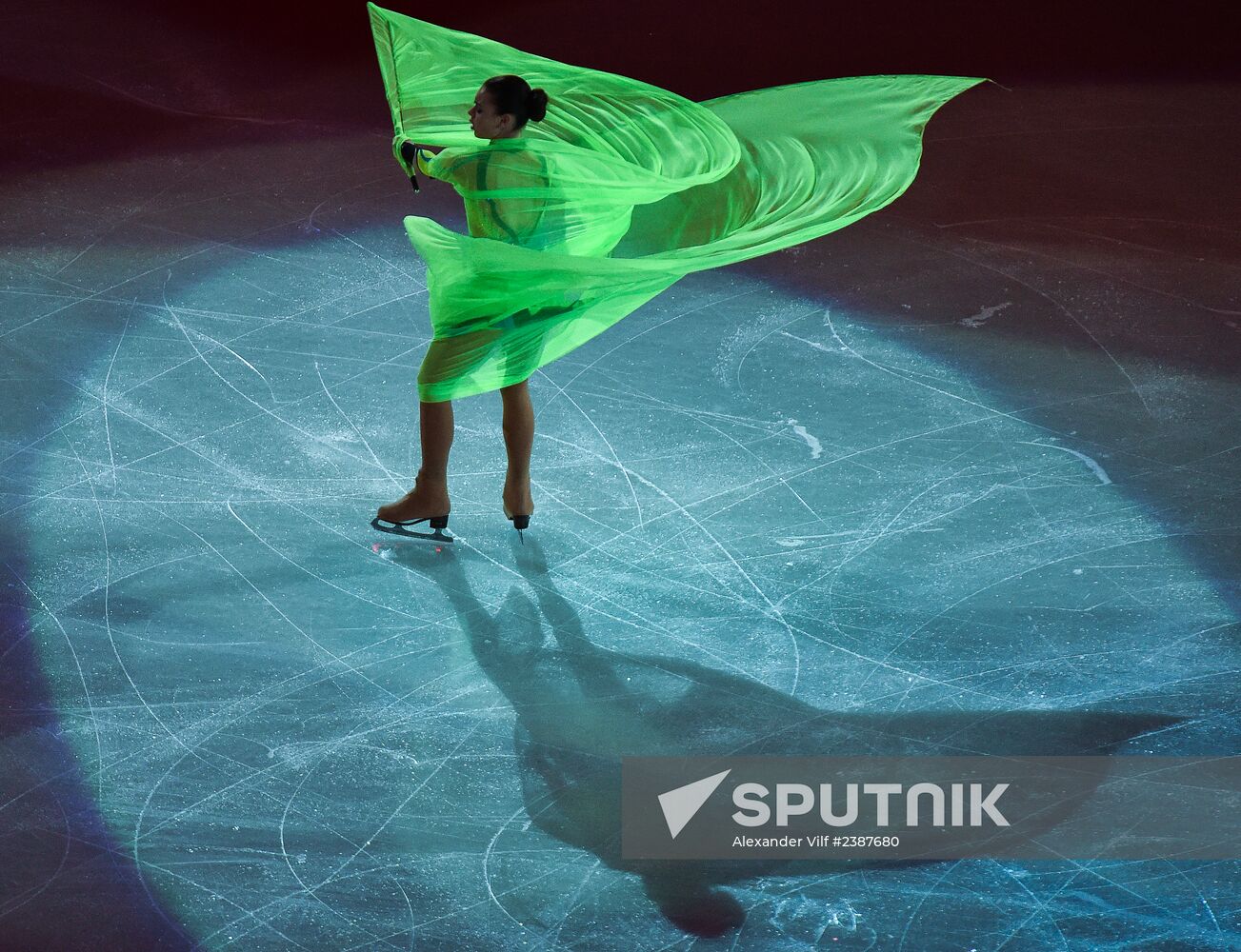 2014 Winter Olympics. Figure skating. Gala exhibition