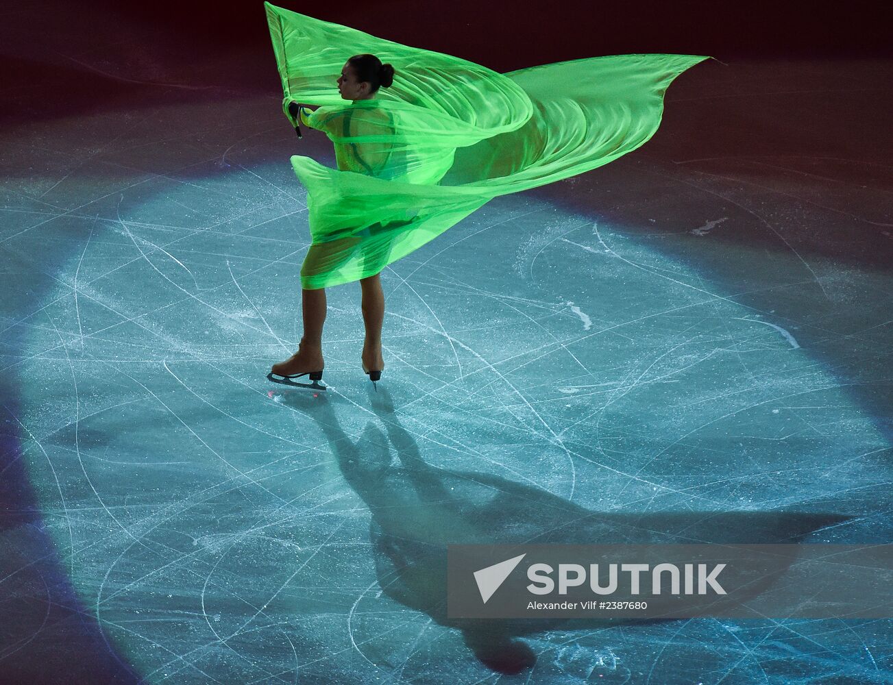 2014 Winter Olympics. Figure skating. Gala exhibition