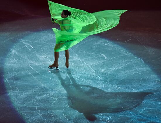 2014 Winter Olympics. Figure skating. Gala exhibition