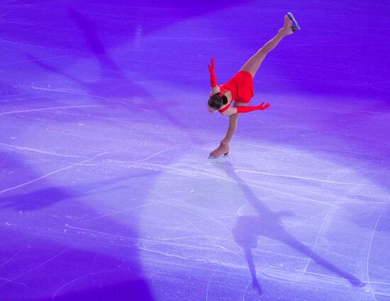 2014 Winter Olympics. Figure skating. Gala exhibition