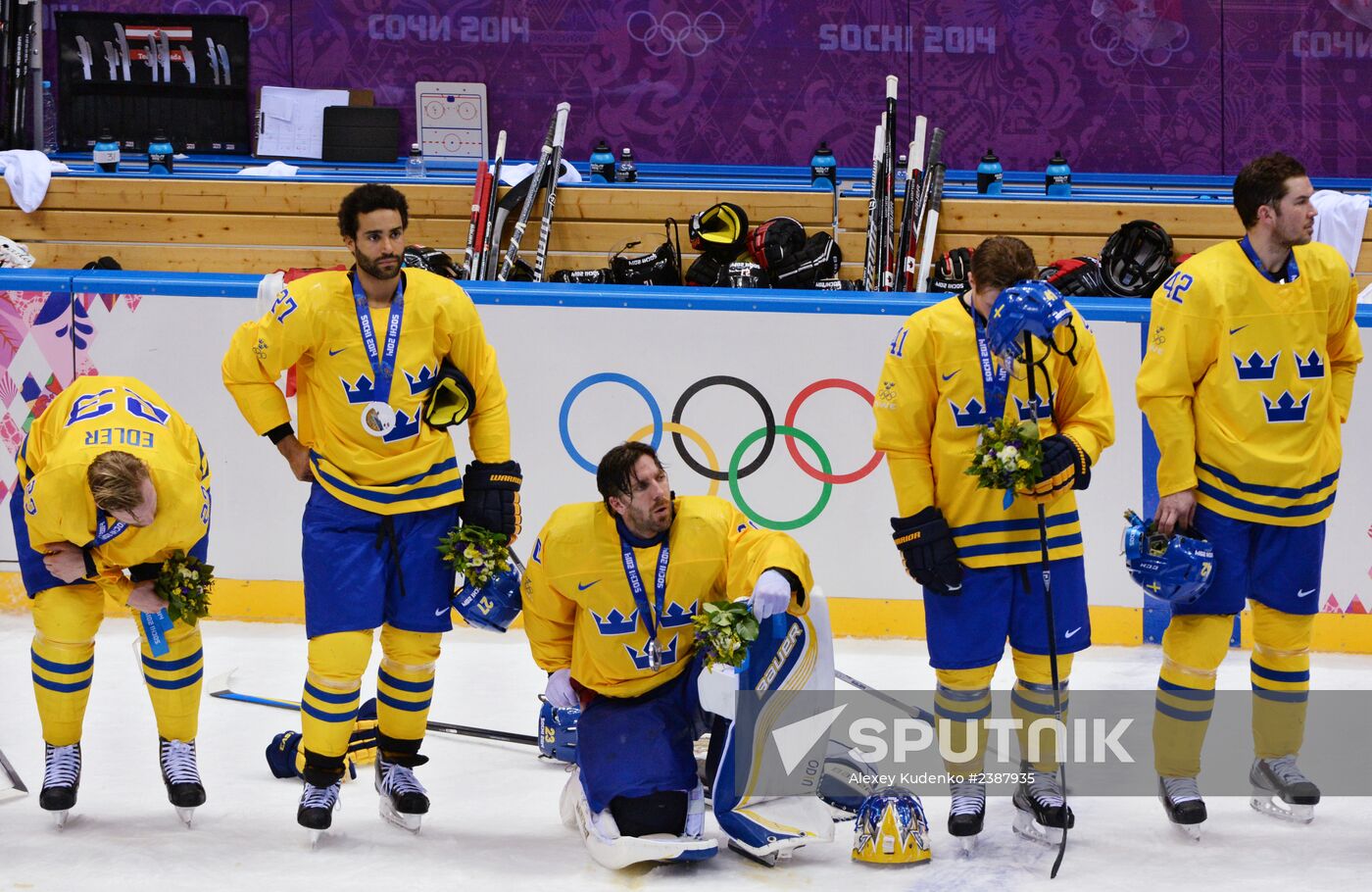 2014 Winter Olympics. Ice hockey. Men. Finals