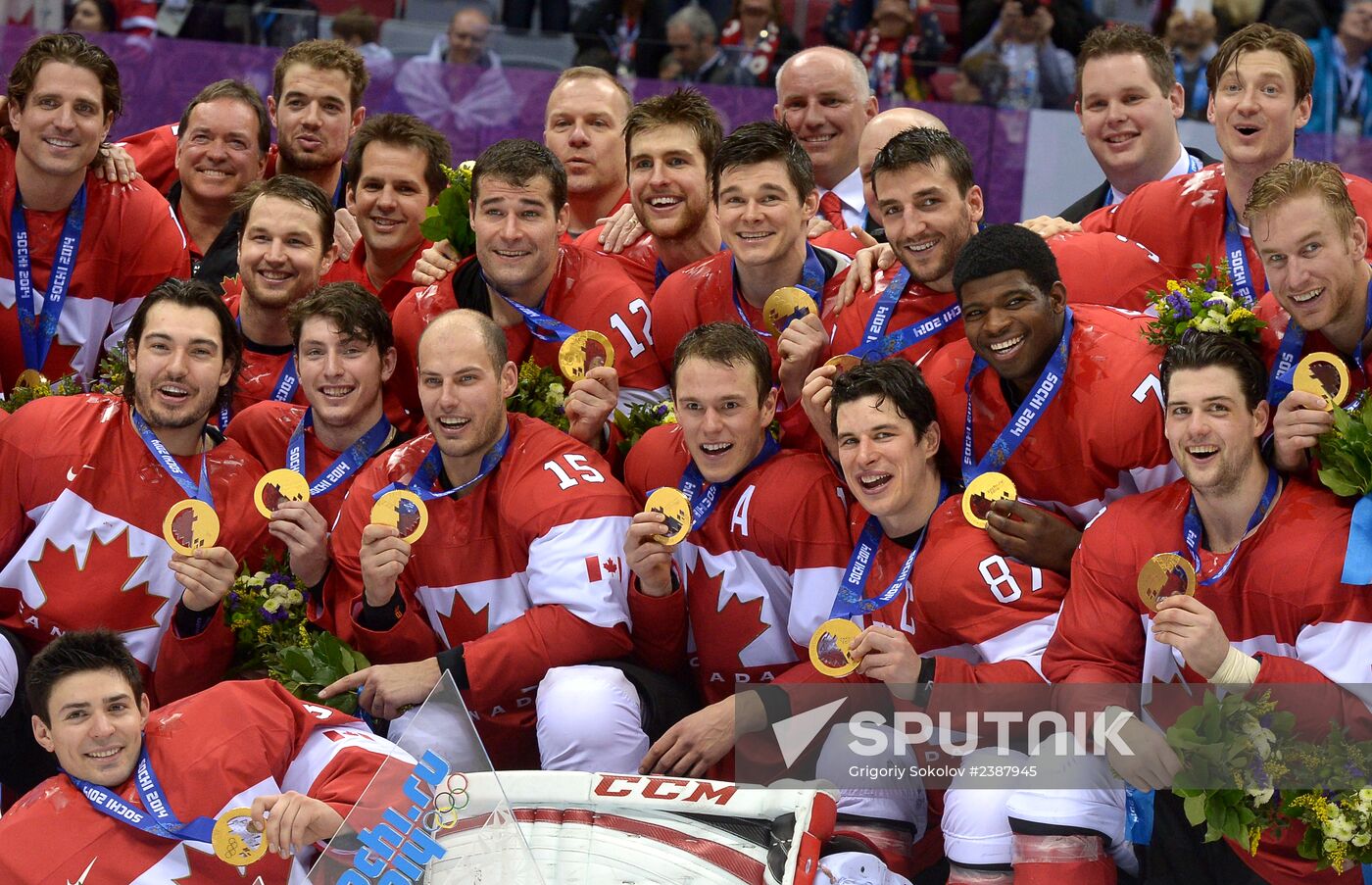 2014 Winter Olympics. Ice hockey. Men. Final
