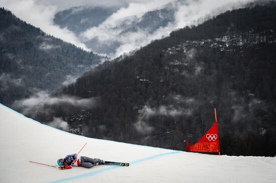 2014 Winter Olympics. Freestyle. Women. Ski Cross