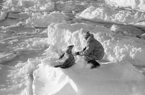 ANTARCTICA BIOLOGIST PUPPY