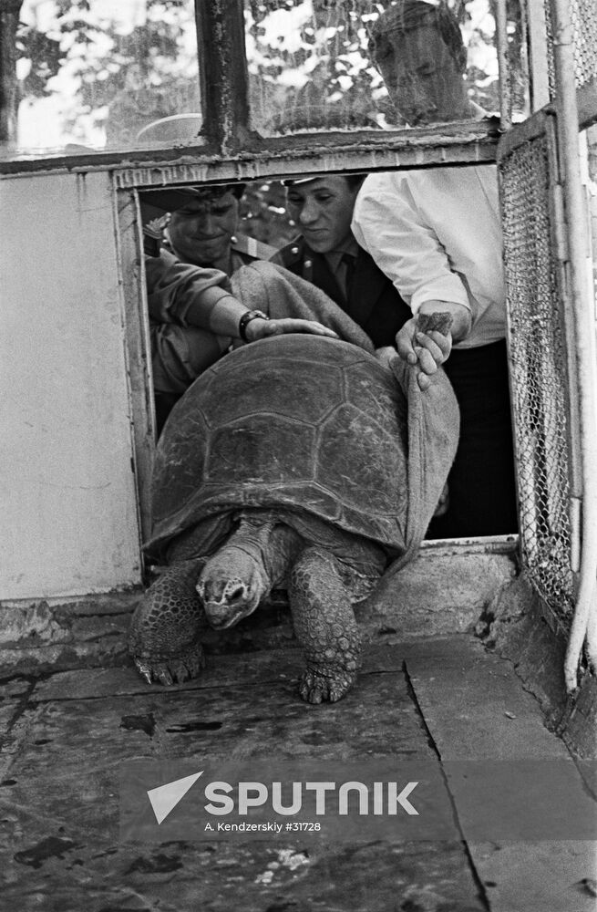 TORTOISE TERRARIUM ZOO