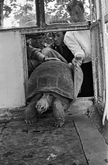 TORTOISE TERRARIUM ZOO