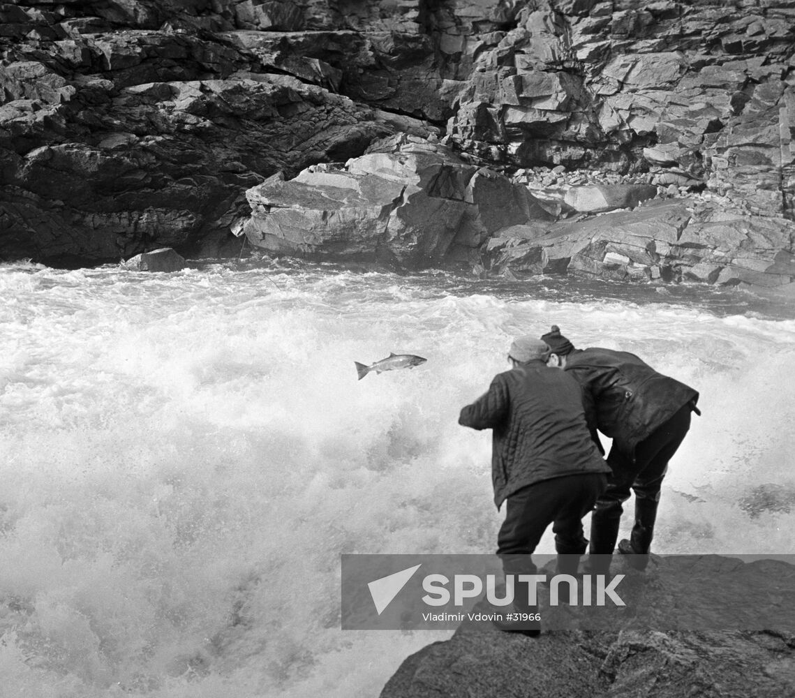 RIVER RIFT SALMON KARELIA RESIDENTS