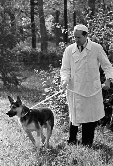 SURGEON DEMIKHOV WALK DOG