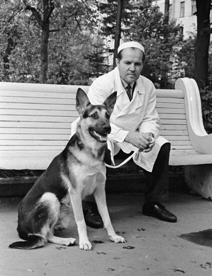 SURGEON DEMIKHOV WALK DOG